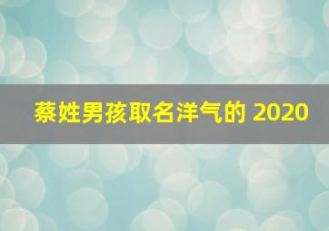 蔡姓男孩取名洋气的 2020